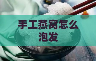 手工燕窝怎么泡发