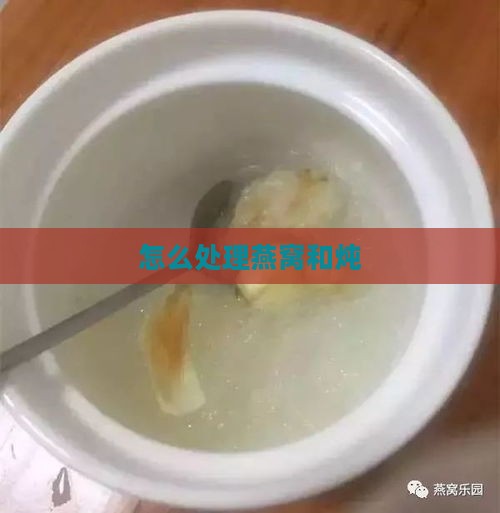 怎么处理燕窝和炖