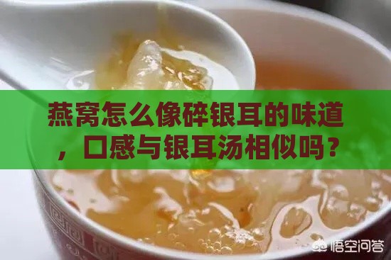 燕窝怎么像碎银耳的味道，口感与银耳汤相似吗？