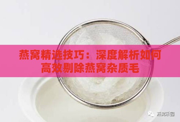 燕窝精选技巧：深度解析如何高效剔除燕窝杂质毛