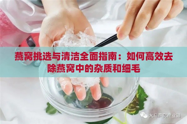 燕窝挑选与清洁全面指南：如何高效去除燕窝中的杂质和细毛