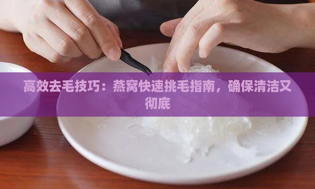 高效去毛技巧：燕窝快速挑毛指南，确保清洁又彻底