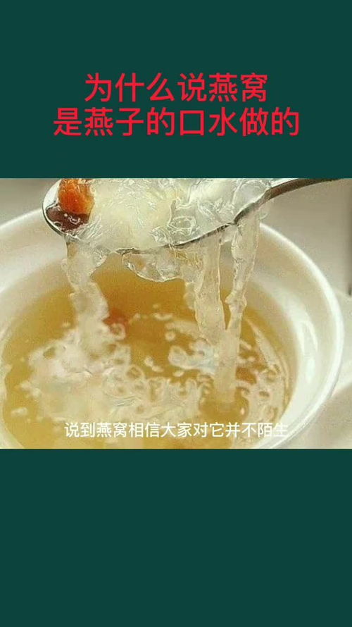 燕子怎么造燕窝呢