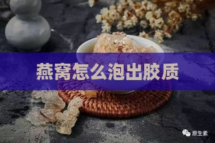 燕窝怎么泡出胶质