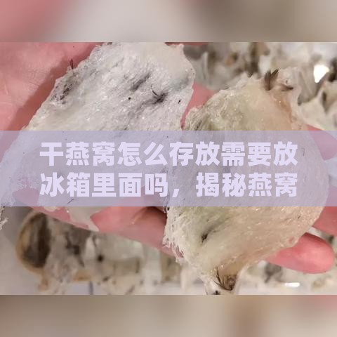 干燕窝怎么存放需要放冰箱里面吗，揭秘燕窝保存诀窍与冷藏方法