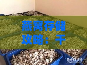 燕窝存储攻略：干燕窝的正确储藏方法与保鲜技巧