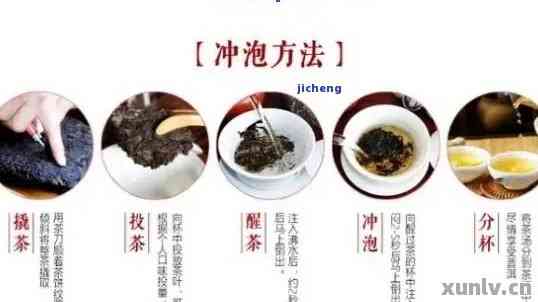 云南燕窝：产地、功效、挑选与食用指南全方位解析