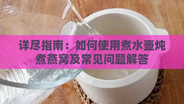 详尽指南：如何使用煮水壶炖煮燕窝及常见问题解答