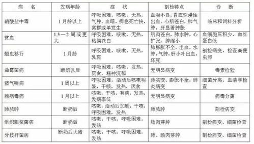 燕窝品质分级指南：详析各级燕窝特点与鉴别方法