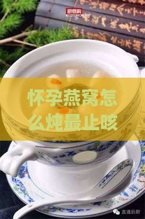 怀孕燕窝怎么炖最止咳化痰，适合孕期食用？