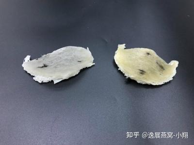 金丝燕窝怎么区分