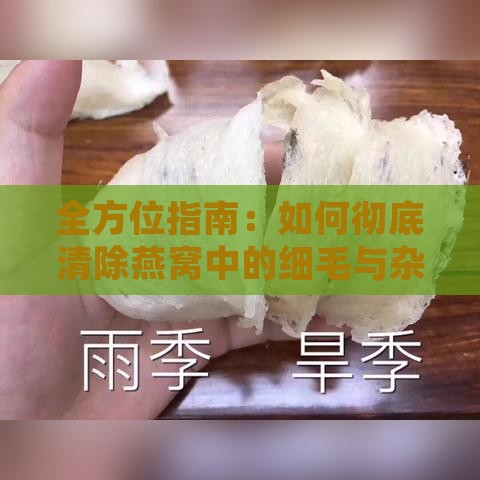 全方位指南：如何彻底清除燕窝中的细毛与杂质