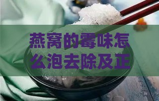 燕窝的霉味怎么泡去除及正确泡发方法详解