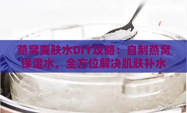 燕窝爽肤水DIY攻略：自制燕窝保湿水，全方位解决肌肤补水保湿问题