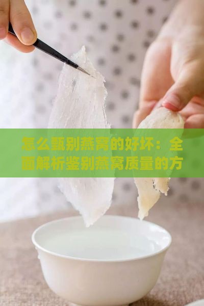 怎么甄别燕窝的好坏：全面解析鉴别燕窝质量的方法与技巧