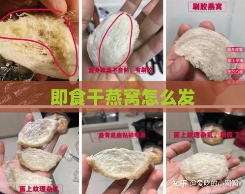 即食干燕窝怎么发