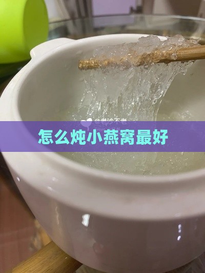 怎么炖小燕窝更好