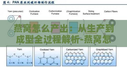 燕窝怎么产出：从生产到成型全过程解析-燕窝怎么生产出来的?