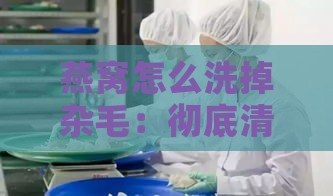 燕窝怎么洗掉杂毛：彻底清洗燕窝杂毛的方法与步骤