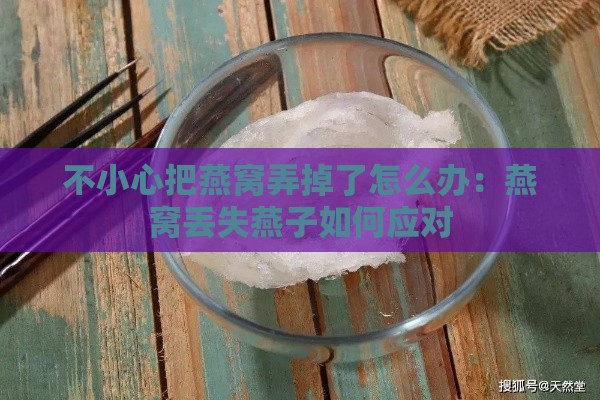 不小心把燕窝弄掉了怎么办：燕窝丢失燕子如何应对