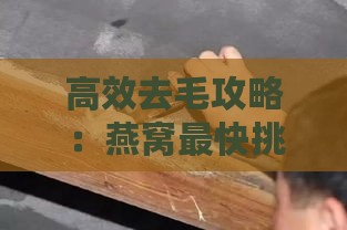 高效去毛攻略：燕窝最快挑毛技巧揭秘