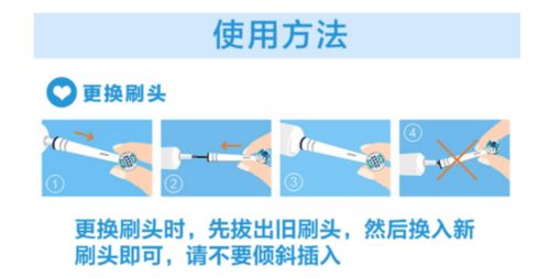 揭秘燕窝干燥现象：原因、影响与正确保存方法全解析