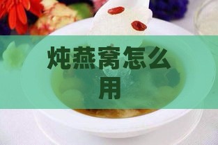 炖燕窝怎么用