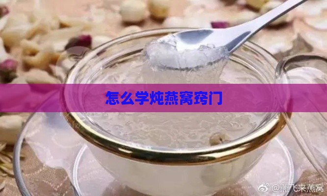 怎么学炖燕窝窍门