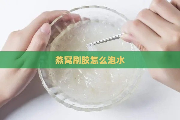 燕窝刷胶怎么泡水