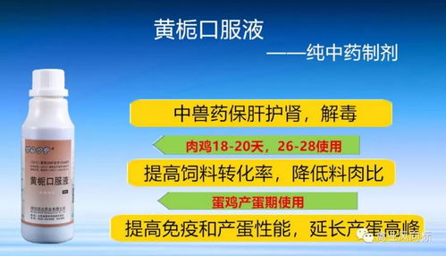 好氏即食燕窝价格揭秘：性价比分析及市场定位