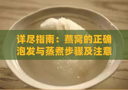 详尽指南：燕窝的正确泡发与蒸煮步骤及注意事项