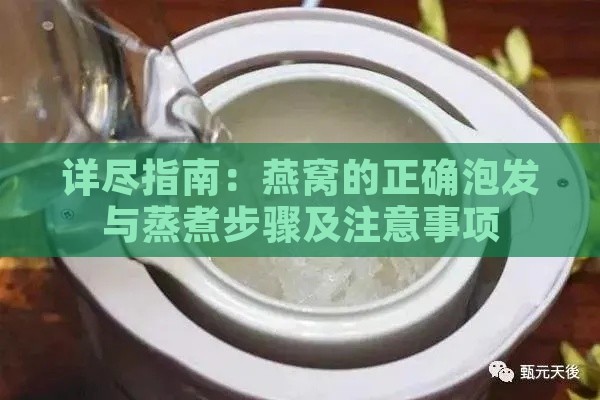 详尽指南：燕窝的正确泡发与蒸煮步骤及注意事项