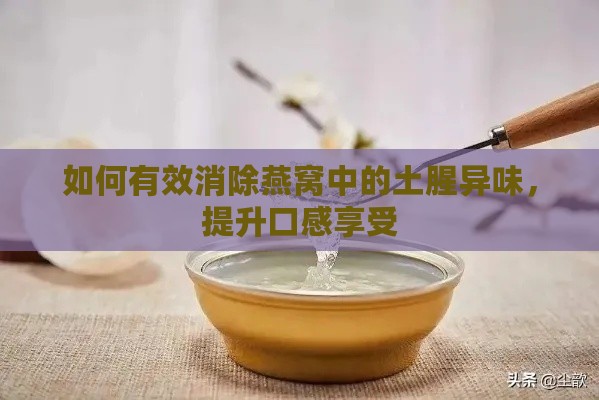 如何有效消除燕窝中的土腥异味，提升口感享受