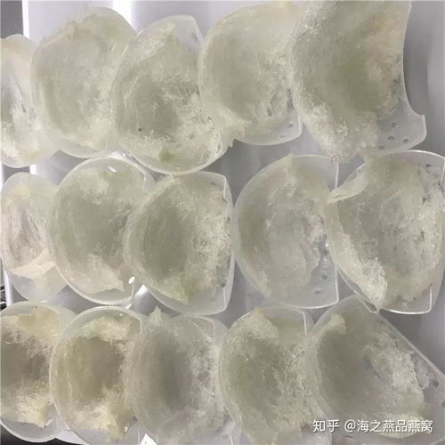 燕窝怎么熬成凝胶，详解燕窝熬成凝胶状的方法与原理