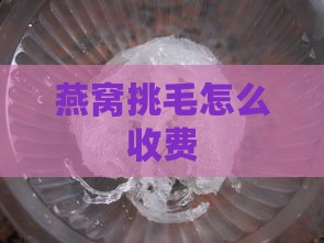 燕窝挑毛怎么收费