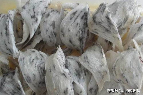 小孩燕窝的做法：增强抵抗力及食用大全