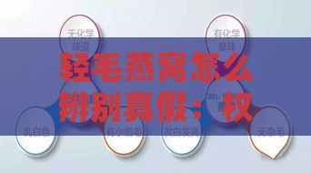 轻毛燕窝怎么辨别真假：权威鉴别方法与常见骗局揭秘