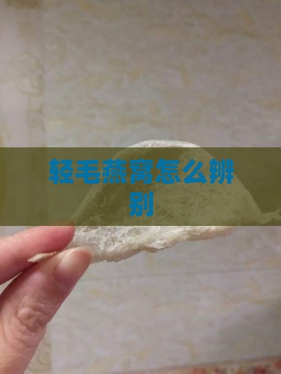 轻毛燕窝怎么辨别