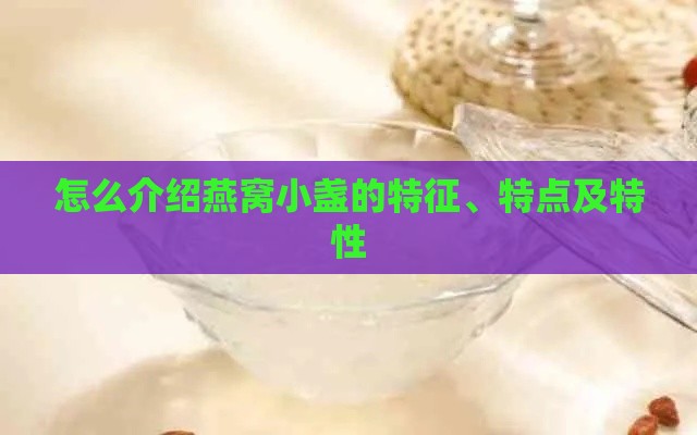 怎么介绍燕窝小盏的特征、特点及特性