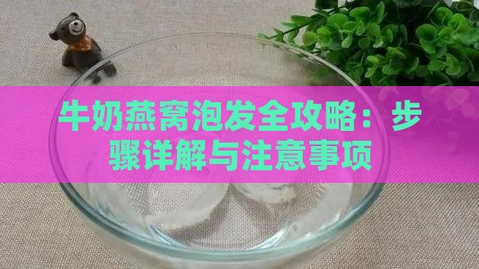 牛奶燕窝泡发全攻略：步骤详解与注意事项