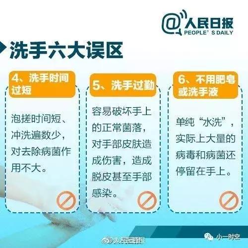 燕窝深度清洗：掌握高效去毛技巧与实践指南