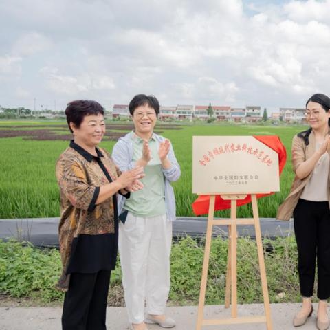 揭秘：江苏燕窝来源及产业现状，全面了解当地燕窝市场与发展