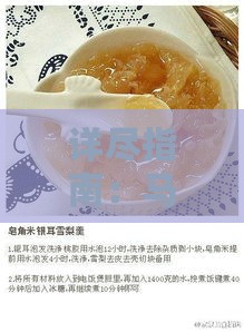 详尽指南：马来燕窝炖煮技巧与多样化食谱全攻略