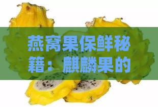 燕窝果保鲜秘籍：麒麟果的正确保存方法与技巧