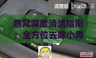 燕窝深度清洁指南：全方位去除小黑毛与杂质技巧解析