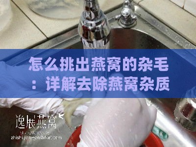 怎么挑出燕窝的杂毛：详解去除燕窝杂质的有效方法