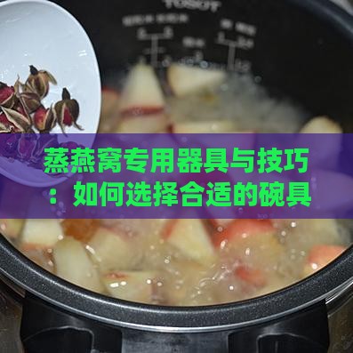 蒸燕窝专用器具与技巧：如何选择合适的碗具及蒸煮方法