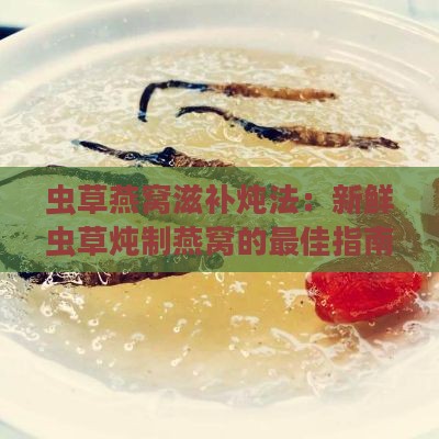 虫草燕窝滋补炖法：新鲜虫草炖制燕窝的更佳指南