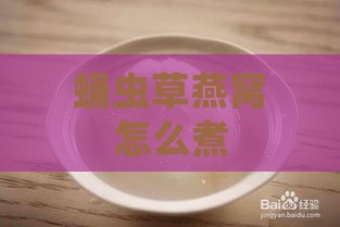 蛹虫草燕窝怎么煮