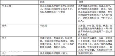 深入解析湿挑燕窝：工艺流程、特点与挑选指南